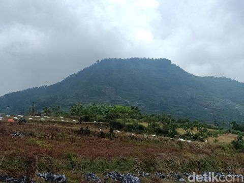 Legetang adalah sebuah dusun yang bersama ratusan warganya 'hilang' dalam semalam, 67 tahun silam. Ini kisah pilu tentang Dusun Legetang di dataran tinggi Dieng, Jawa Tengah.