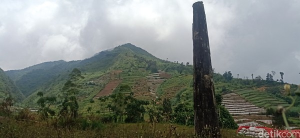 Legetang adalah sebuah dusun yang bersama ratusan warganya hilang dalam semalam. Peristiwa itu terjadi 67 tahun silam. Dusun yang ditinggali 450 jiwa itu rata dengan tanah karena tertimbun longsoran Gunung Pengamun-amun pada 17 April 1955. Legetang adalah sebuah dusun yang bersama ratusan warganya hilang dalam semalam. Peristiwa itu terjadi 67 tahun silam. Dusun yang ditinggali 450 jiwa itu rata dengan tanah karena tertimbun longsoran Gunung Pengamun-amun pada 17 April 1955.