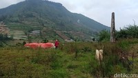 Keesokan harinya, banyak warga dusun sekitar yang tercengang dan menangis setelah mengetahui Dusun Legetang sudah rata dengan tanah. Bahkan, tinggi material tanah longsor kala itu disebut mencapai lebih dari 2 meter.