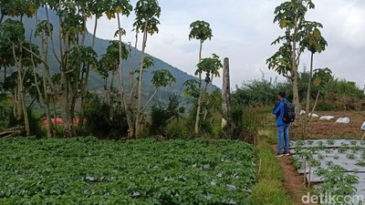 Potret Kawasan yang Dianggap Kampung Kaum Sodom di Dieng
