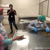 Yuliantini memperlihatkan proses daun kemuning kering yang akan diolah tim Riset dan Development (RnD). Selanjutnya proses bahan melalui proses pencucian dengan menggunakan air mengalir agar lebih steril. Supaya pencuciannya sempurna. Kemudian ditiriskan dan proses oven sekitar 60 derajat. Setelah itu diperiksa kembali oleh QC, tuturnya. Foto: Gresnia/Wolipop.
