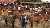 Harganya pun beragam, berkisar antara Rp6 juta - Rp30 juta per ekor tergantung jenis dan ukuran badannya.