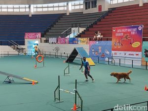 Bikin Gemas! Puluhan Anjing Berbagai Ras Adu Bakat hingga Talent Show