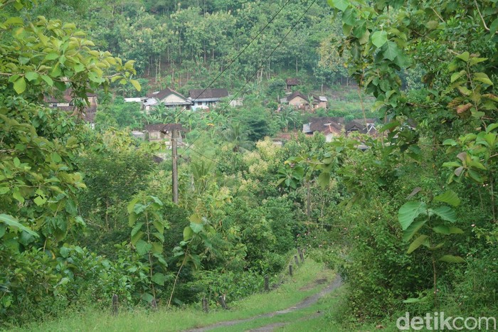 Suasana di Dusun Wotawati, Kalurahan Pucung, Kapanewon Girisubo, Kabupaten Gunungkidul, Kamis (24/3/2022) sore.