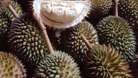 Harga satu duriannya dibandrol mulai Rp 30.000.