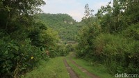 Pantauan detikJateng, suasana di Dusun Wotawati masih sangat asri dan sunyi. Dusun Wotawati berjarak sekitar 74 kilometer dari jantung Kota Jogja. Dusun Wotawati diapit dua perbukitan besar yang menjulang tinggi itu, Kamis (24/3).