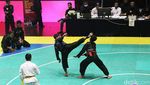 Aksi Pendekar Silat Unjuk Gigi di Kejurnas Pagar Nusa