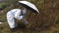 Adapun sampai saat ini sudah ada 120 korban yang telah diidentifikasi. Proses identifikasi dilakukan dengan metode tes DNA. Lu Boan/Xinhua via AP.