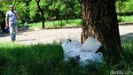 Duh, Sampah Berserakan di Area CFD Tangsel