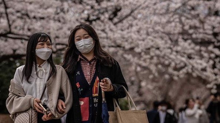 Bunga sakura bermekaran di kawasan Tokyo, Jepang. Pemandangan bunga sakura yang bermekaran membuat ibu kota Jepang itu kian menawan. Ini penampakannya.