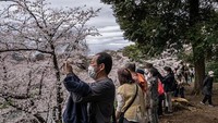 Sejumlah warga memotret pemandangan bunga sakura yang bermekaran dii kawasan Tokyo, Jepang. 