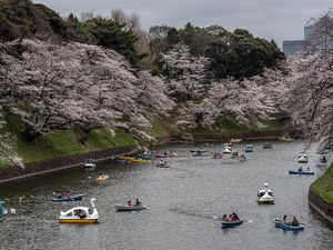 Kota Nagi yang Dianggap Ajaib di Tengah Resesi Seks Jepang