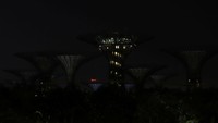 Penampakan Supertree Grove di Gardens by the Bay yang tampak gelap gulita di tengah peringatan Earth Hour di Singapura, Sabtu (26/3/2022). REUTERS/Isabel Kua.