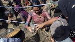 Sambut Ramadan, Warga Ramai-ramai Berburu Ikan di Ciamis
