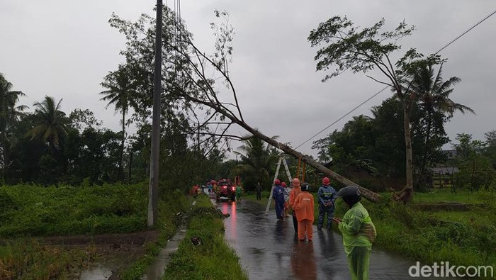 Angin kencang mengakibatkan sejumlah rumah rusak dan pohon tumbang di Kabupaten Magelang.