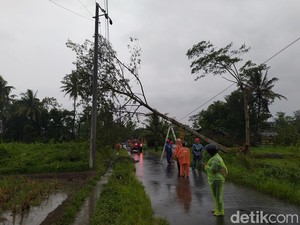 Angin Kencang Landa Magelang, Sejumlah Rumah Rusak-Pohon Tumbang