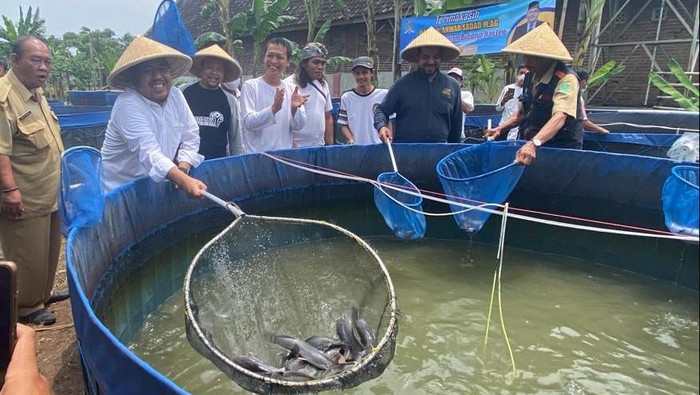 Wakil Ketua DPRD Jatim, Anwar Sadad turun menemui pembudidaya lele di Kabupaten Pasuruan. Tepatnya di Dusun Rejoso, Desa Tunggulwulung, Kecamatan Pandaan.