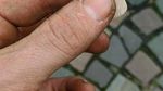 Aneh! 10 Garpu Ini Punya Bentuk yang Nyeleneh