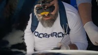 Ternyata Scot merupakan hiu putih besar yang ditandai dan dilepaskan oleh kelompok kelautan nirlaba OCEARCH dalam ekspedisi Nova Scotia. (Ocearch)