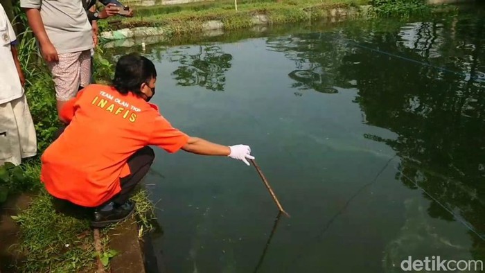 Ibu ditemukan tewas tenggelam di kolam ikan milik tetangga di Tulungagung.