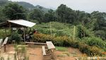 Jahe Susu H. Sule, Puncak Kenikmatan Para Goweser di Bukit Hambalang