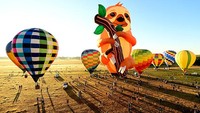 Acara tahunan ini menampilkan balon udara spesial yaitu seekor kungkang berjari tiga setinggi 33m yang disebut Tico.  
