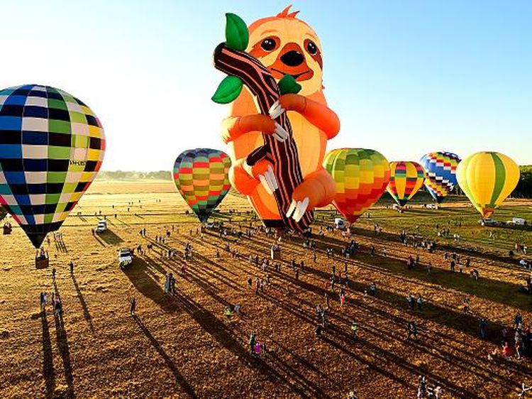 Kungkang Raksasa Meriahkan Festival Balon Udara di Australia