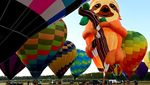 Kungkang Raksasa Meriahkan Festival Balon Udara di Australia