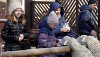 Meski serangan Rusia ke Ukraina masih kerap terjadi, pengunjung tetap antusias berwisata ke Kebun Binatang Odesa pada akhir pekan lalu.