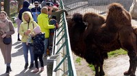 Kebun Binatang Odesa yang berada di wilayah Ukraina bagian selatan ramai didatangi pengunjung pada Sabtu (26/3/2022). Odessa berada di tepi Laut Hitam dan merupakan destinasi favorit di kawasan Ukraina selatan.