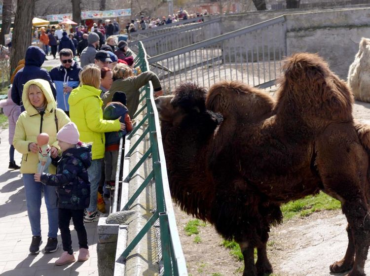 Masih Perang, Warga Sempatkan Berlibur ke Kebun Binatang di Ukraina