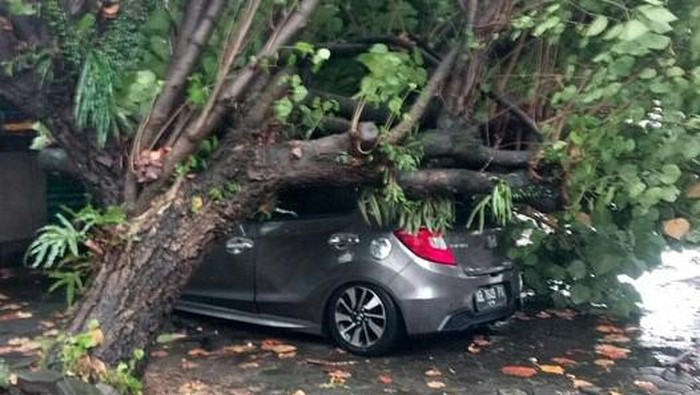 Mobil tertimpa pohon tumbang di Sleman, Senin (28/3/2022).