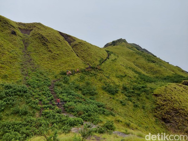 Seperti inilah bukit di Pulau Padar di saat musim hujan, hijau!