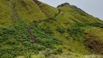 Pulau Padar di Labuan Bajo Saat Hujan, Hijau Banget!