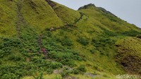 Seperti inilah bukit di Pulau Padar di saat musim hujan, hijau!
