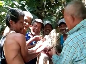 4 Fakta Heboh Warga Sumut Tangkap Ikan Raksasa