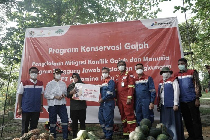 PHR Buat Konservasi Gajah di Siak