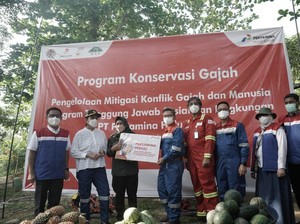 Sri Mulyani Apresiasi Inisiatif PHR Buat Konservasi Gajah di Siak