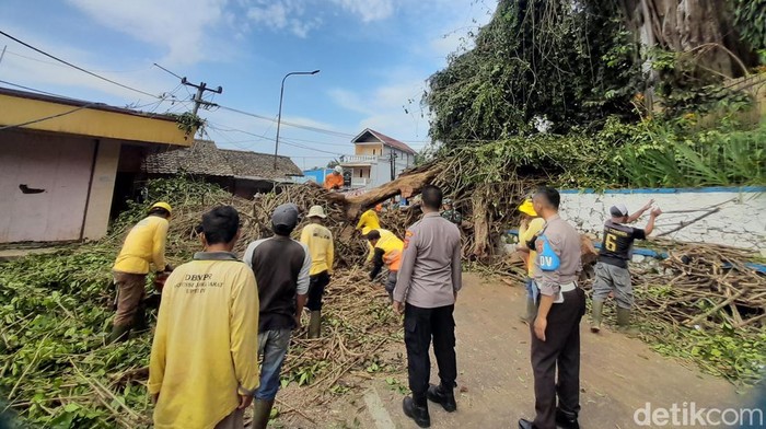 Pohon tumbang di Tanjungsari, Sumedang