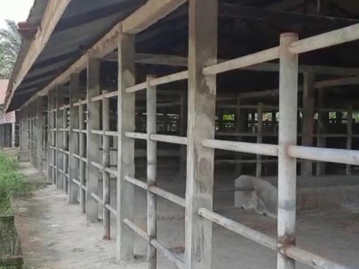 Rumah potong hewan di Pekanbaru berhenti beroperasi imbas wabah LSD