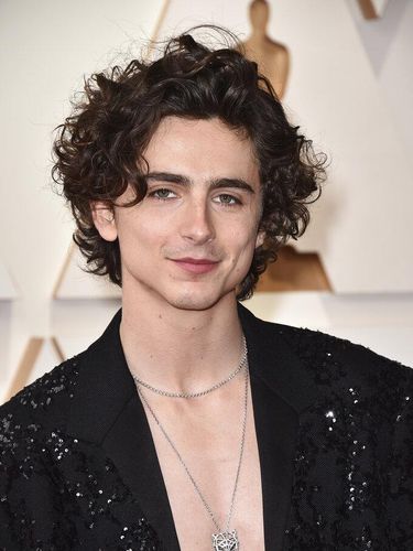 Timothee Chalamet tampil shirtless di Oscar 2022.