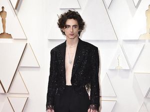 Soal Musim 3 Yumis Cells, Timothee Chalamet Jadi Pasangan Kim Go Eun?