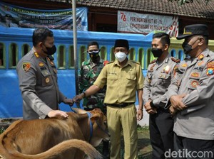 Hore... Warga Pasuruan yang Mau Vaksin akan Diberi Hadiah Sapi