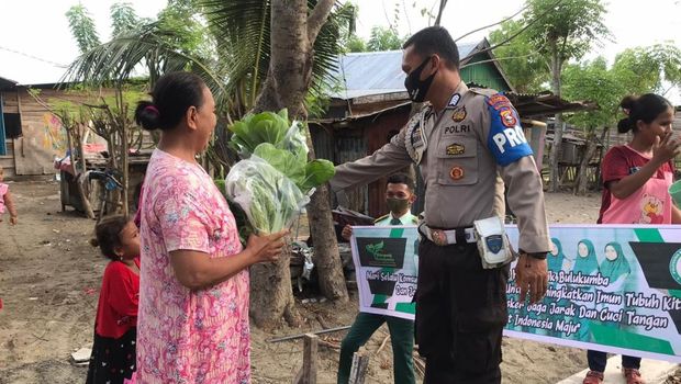 Bripka Nurdianto, 'Polisi Hidroponik' yang Berdayakan Petani di Bulukumba