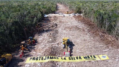 Hutan Adat di Meksiko Tergusur Proyek KA, Greenpeace Protes Keras