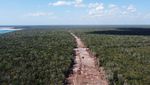 Hutan Adat di Meksiko Tergusur Proyek KA, Greenpeace Protes Keras