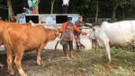 Mengenal Gelaran Upacara Adat Gumbreg di Seloharjo Bantul