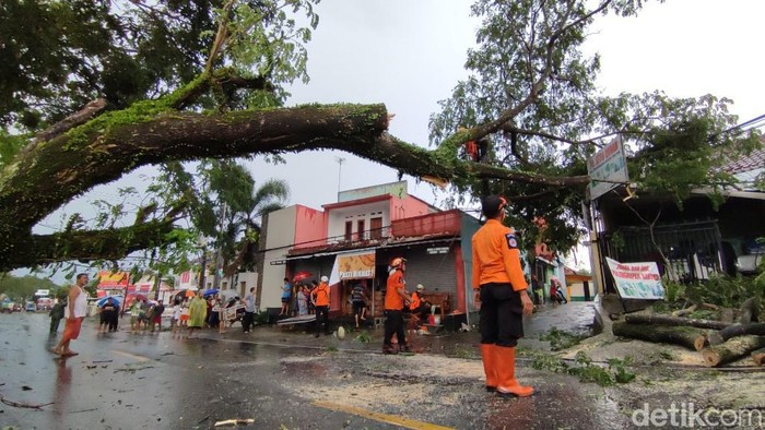 Pohon tumbang di Ciamis.
