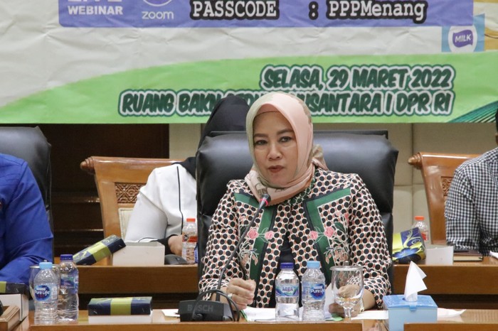 Politisi PPP sekaligus Anggota Komisi VI DPR RI Elly Rachmat Yasin