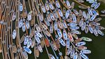 Saat Sungai Suci di India  Dipenuhi Perahu yang Bersandar